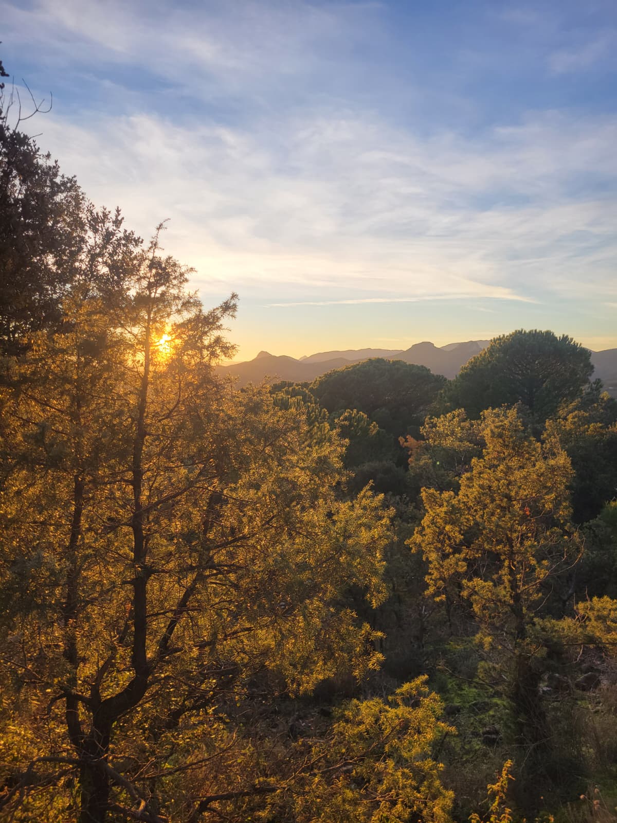 WhatsApp Image 2026-01-21 at 09.53.53